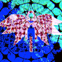 Image 3 of BACKTOEARTH - CONTINUE WITHOUT SAVING