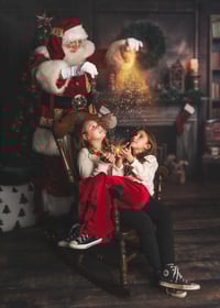 Image 8 of Santa Mini Pre-Sale