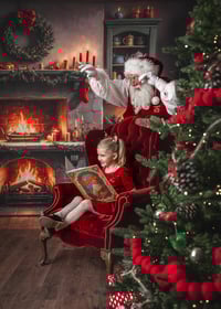 Image 14 of Santa Mini Pre-Sale