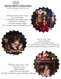 Image 1 of Santa Mini Pre-Sale
