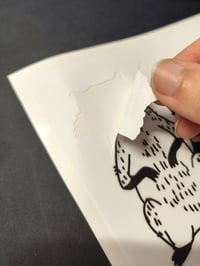 Image 3 of Raccoons Sticker Sheet