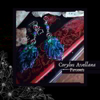 Image 1 of ☽ Corylus Pavonis ☾