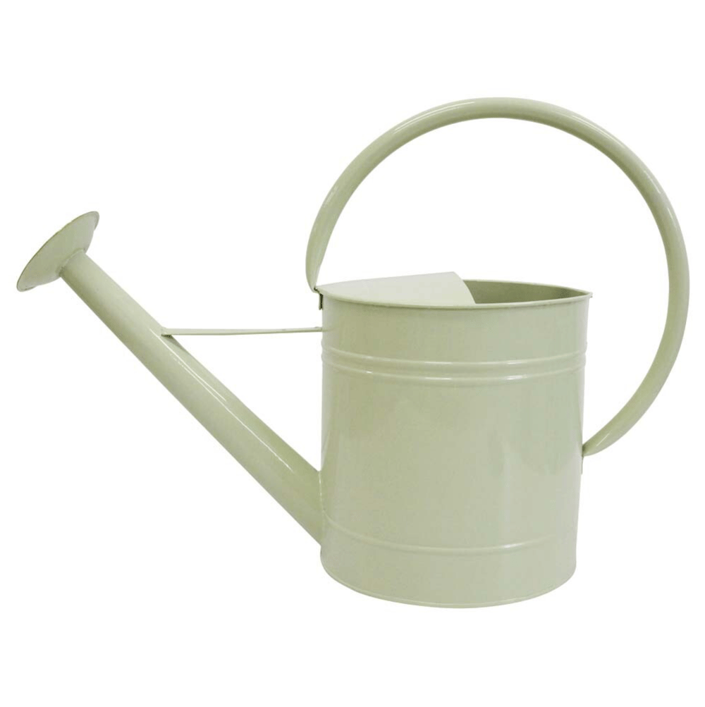 Image of Sage Green Watering Can 