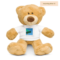 Image 2 of Teddy Mourning Bear
