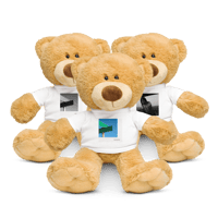 Image 1 of Teddy Mourning Bear