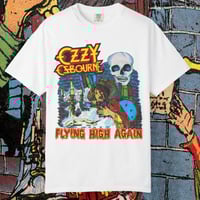 Image 1 of Flying High Again