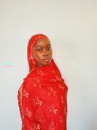 Image 1 of Kalla red flower