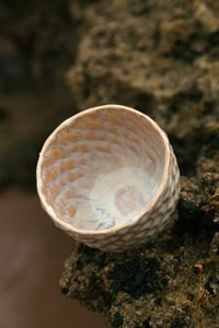 Image 3 of Seaside – Cups (Edition 3.0)