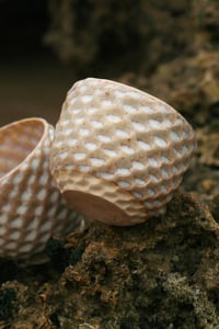 Image 4 of Seaside – Cups (Edition 3.0)