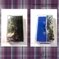 mycriesfallondeafears x Fear of Horses split cassete tape