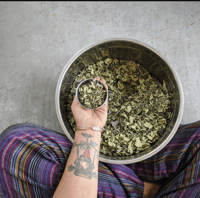 Image 4 of Mullein Leaf Tea Blend / loose leaf herbal tea Naturally CAFFEINE FREE