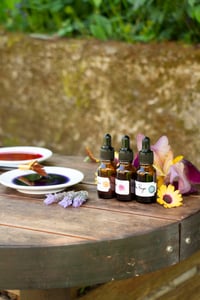 Carte cadeau | Immersion