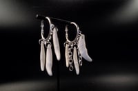 Image 4 of Coyote Dreamcatcher Earrings