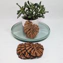Monstera Leaf Drinks Coasters, wooden coasters with gift box. 
