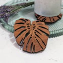 Monstera Leaf Drinks Coasters, wooden coasters with gift box. 