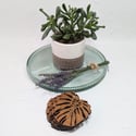 Monstera Leaf Drinks Coasters, wooden coasters with gift box. 