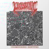 Image 1 of PHOBOPHILIC – Undimensioned Identities CD
