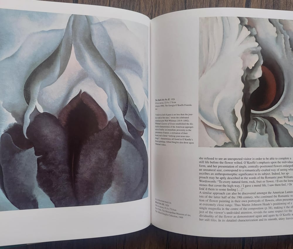 Georgia O'Keeffe: 1887-1986 - Flowers in the Desert, by Britta Benke