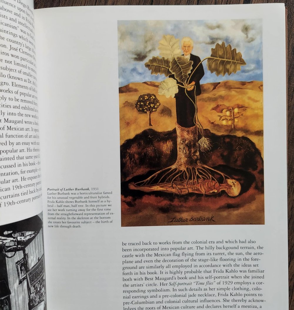 Frida Kahlo: 1907-1954 - Pain and Passion, by Andrea Kettenmann