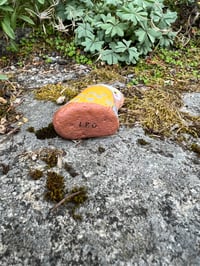 Image 5 of Hootie the Owl Rock🦉💛