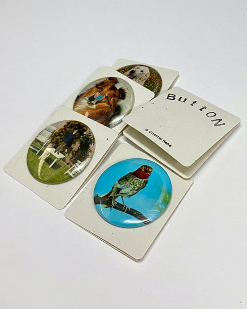 Image of button #31 (#31-#45)