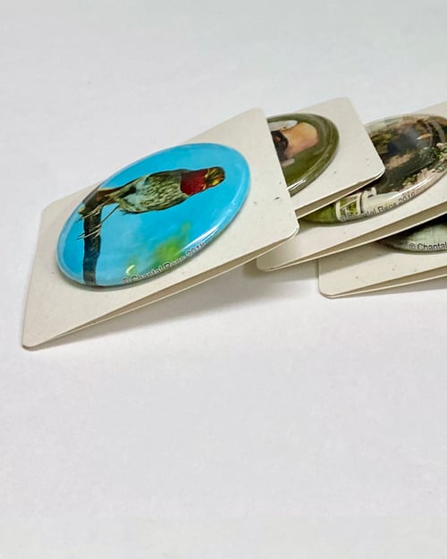 Image of button #31 (#31-#45)