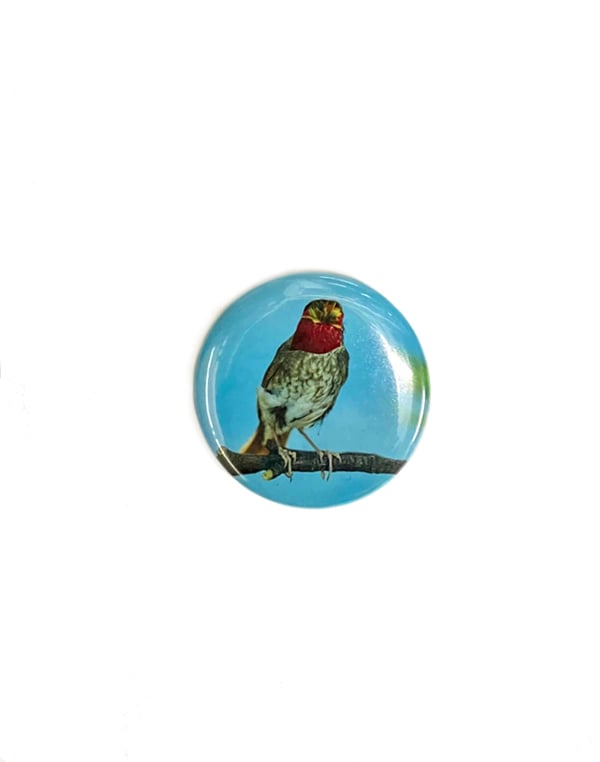 Image of button #31