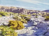 Smoke Tree Wash, Anza Borrego Desert