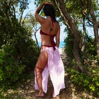 Image 5 of Burgundy Velvet & Pink Goddess Panel Set