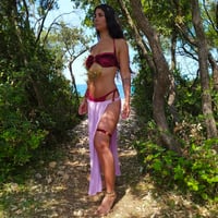 Image 3 of Burgundy Velvet & Pink Goddess Panel Set