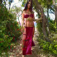 Image 1 of Red Velvet Goddess Panel Set