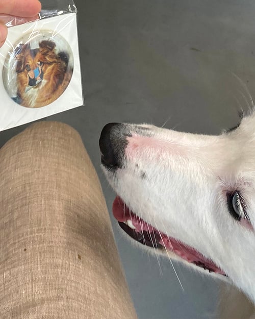 Image of button #20 (#16-#30)