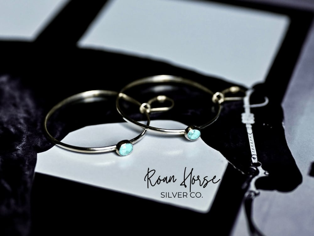 Image of The Lucy’s 