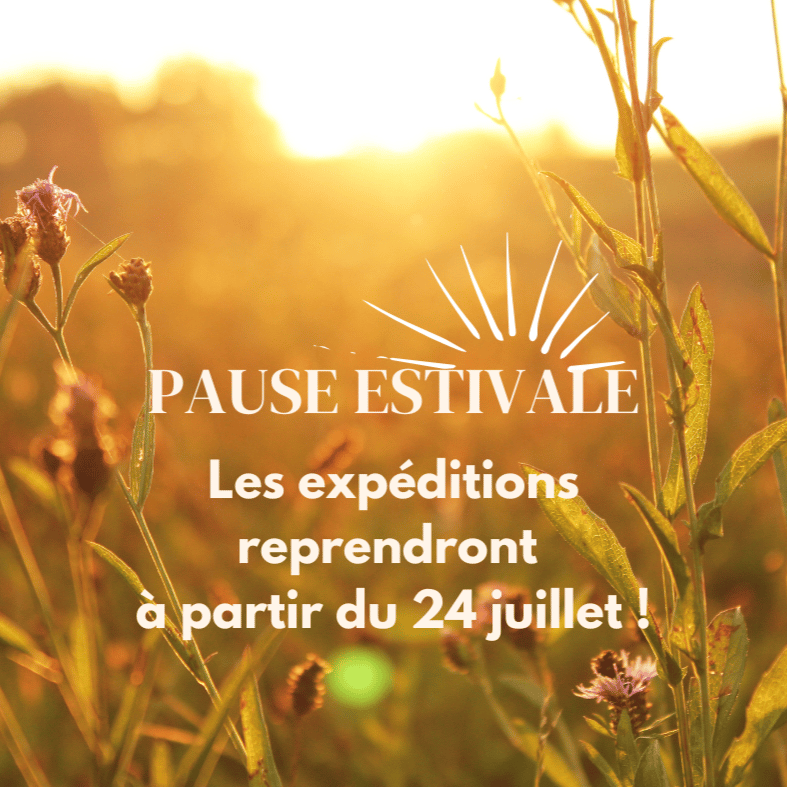 Image of Pause estivale 