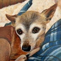 Image 1 of Grandpa Miles