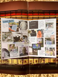 Image 5 of A-Z of Exhibition for Chickens