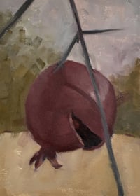 Image 1 of Talking Pomegranate