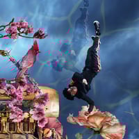 Image 5 of 'A Brother and Red Bird'