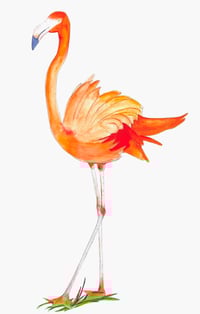 Image 2 of Pretty Pink Flamingo -Original bird art