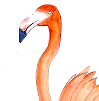 Image 4 of Pretty Pink Flamingo -Original bird art