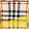 Plaid Quilt (fundraiser)