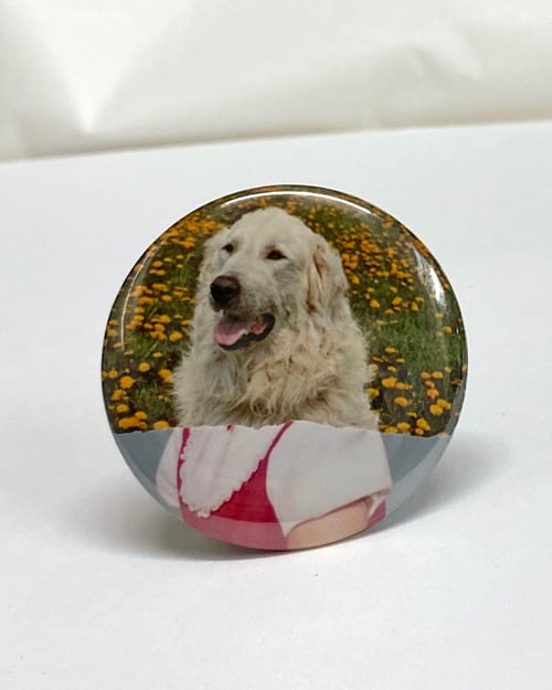 Image of button #50