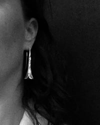 Image 2 of Honeysuckle Trumpet 