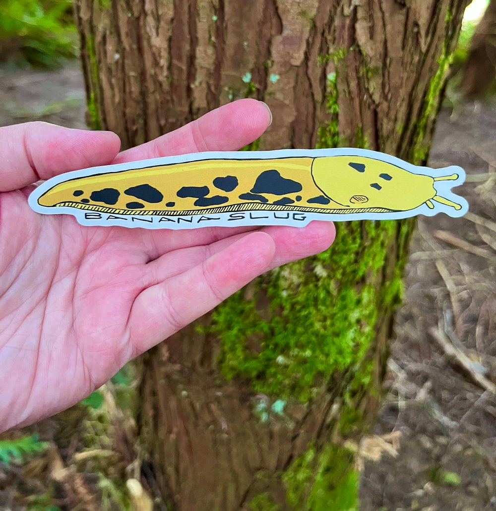 Image of Large Banana Slug Sticker