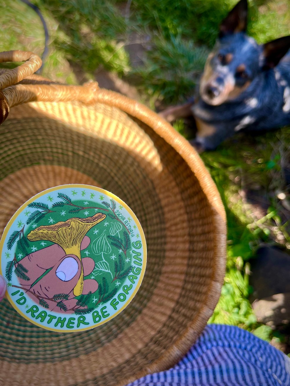 Image of I'd Rather Be Foraging