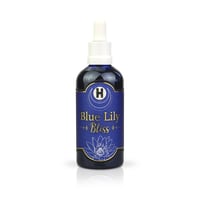 Blue Lily Bliss