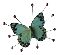 Image 1 of TAXIDERMY TEE