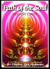 Path Of The Soul Destiny Cards