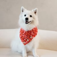 CROCHET SCARF - SANGRIA