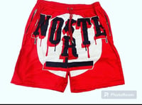 Red Norte Shorts